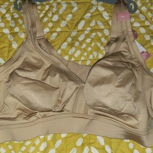 Lane Bryant No Wire Bra